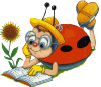 Coccinelle